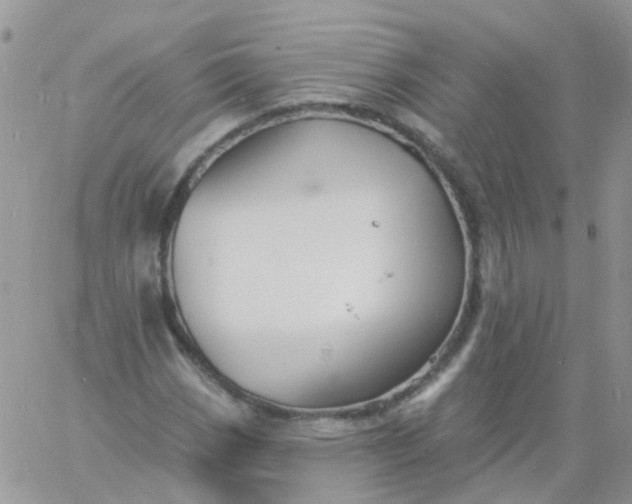 X0000060791113200511241837