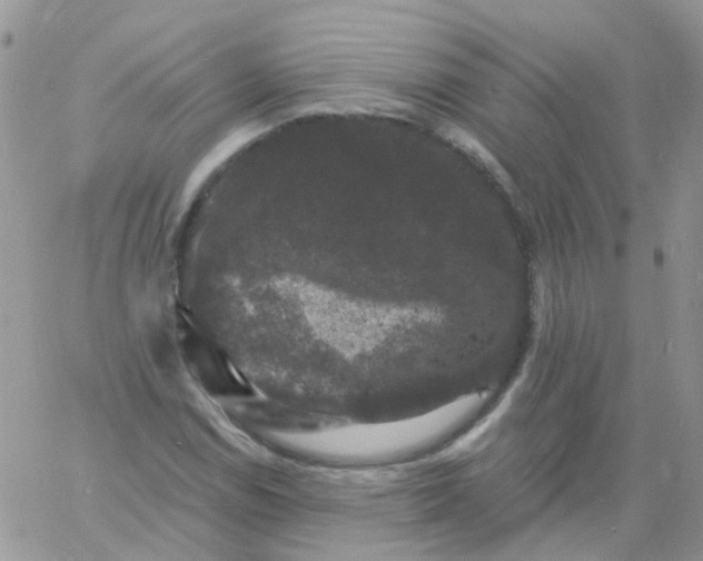 X0000060791114200511241837