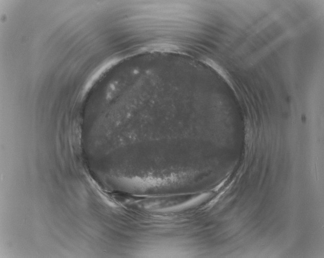 X0000060791115200511241837