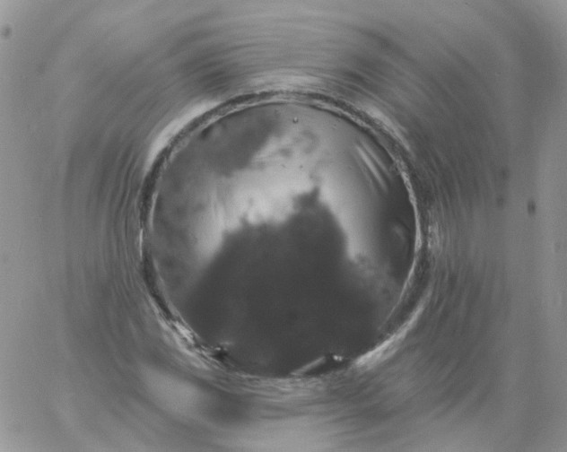 X0000060791117200511241837