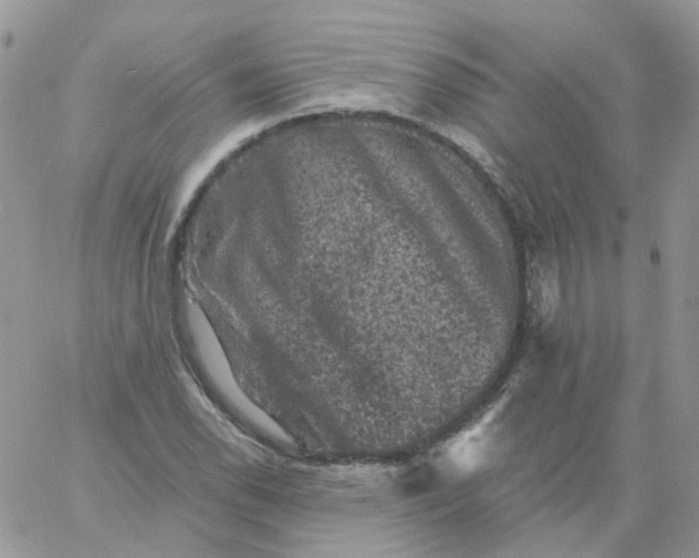 X0000060791118200511241838