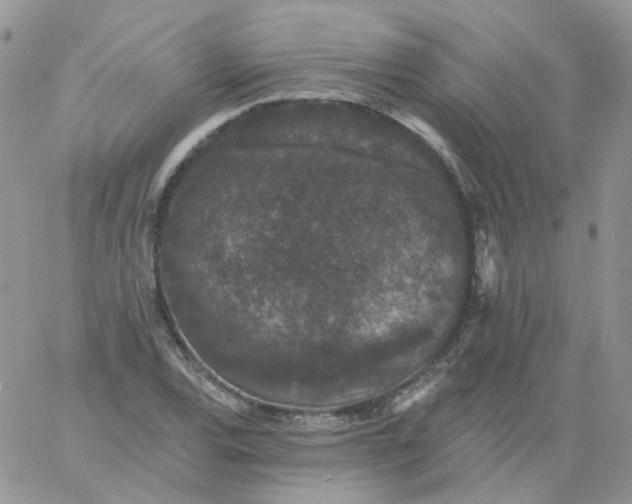 X0000060791120200511241838