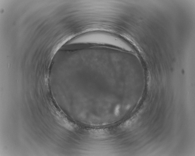 X0000060791121200511241838