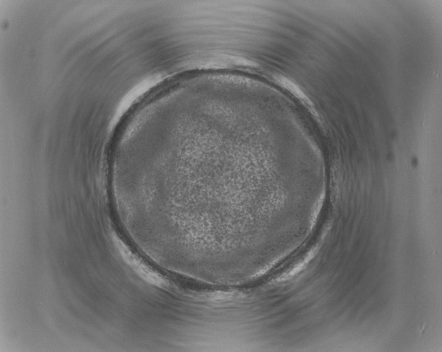 X0000060791122200511241838