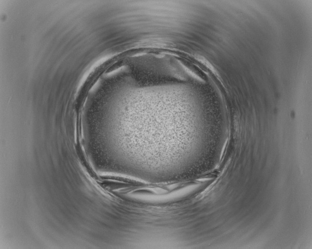 X0000060791123200511241838