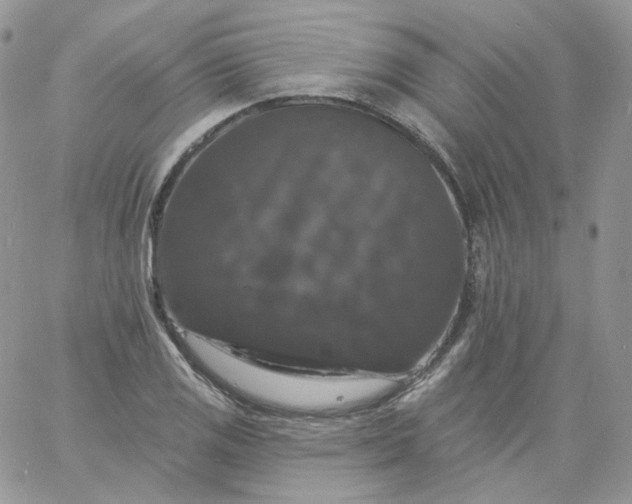 X0000060791125200511241838