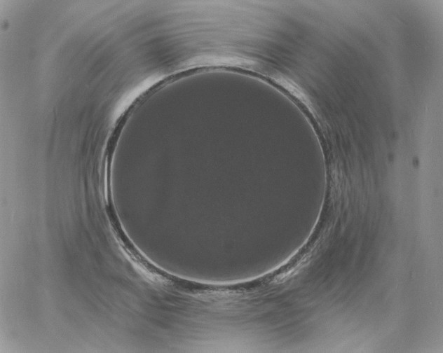 X0000060791127200511241838