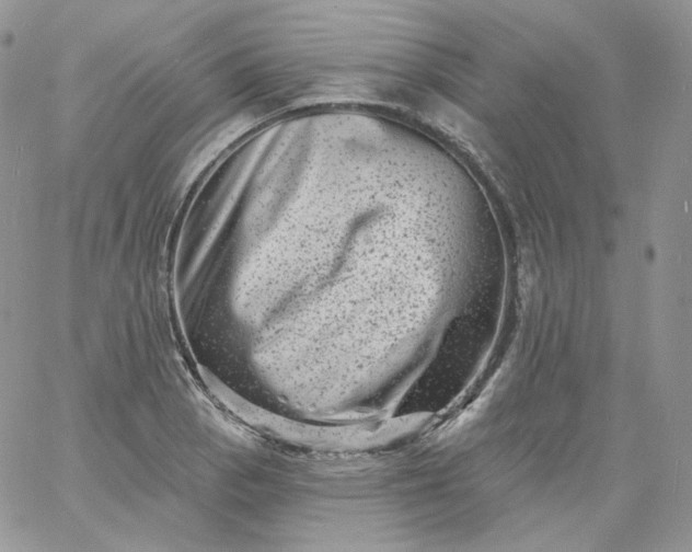 X0000060791129200511241838