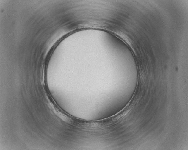 X0000060791131200511241838