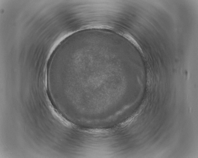 X0000060791132200511241838