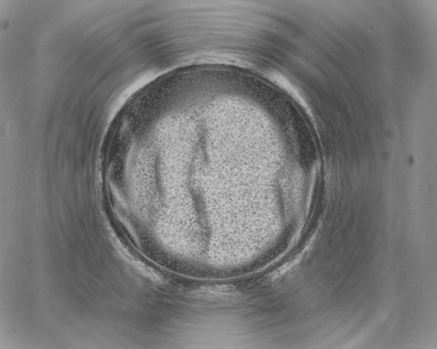 X0000060791133200511241838