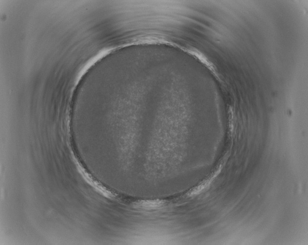 X0000060791134200511241838