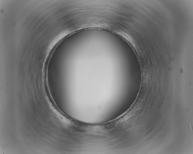 X0000060791135200511241838