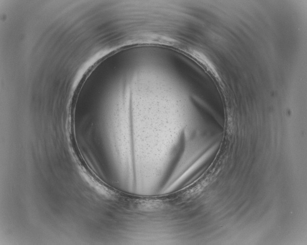 X0000060791136200511241838