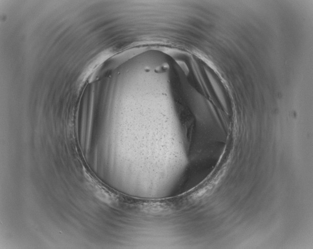 X0000060791137200511241838