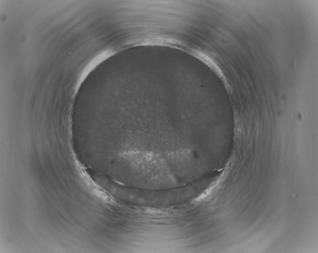 X0000060791138200511241838