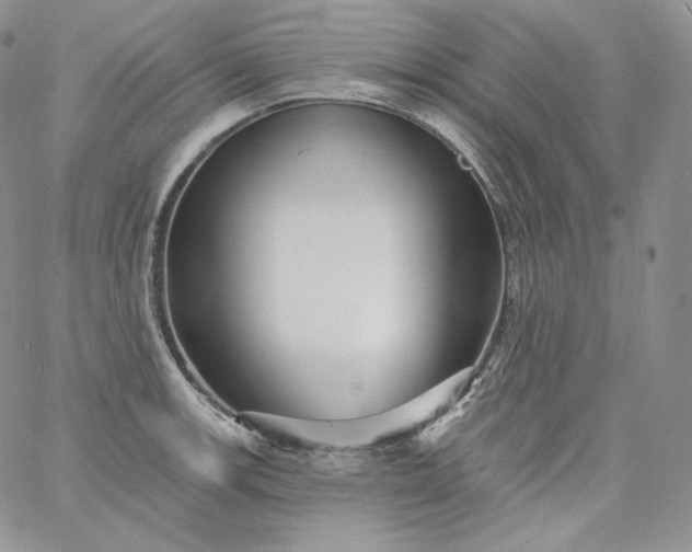 X0000060791139200511241838