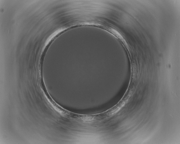 X0000060791141200511241838