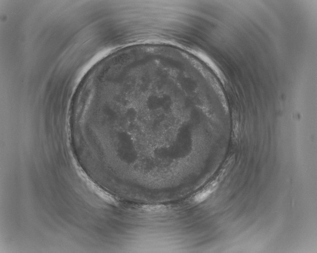 X0000060791142200511241838