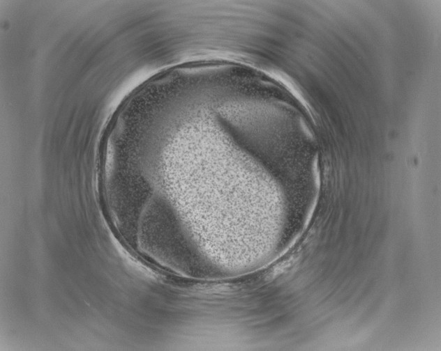 X0000060791143200511241838