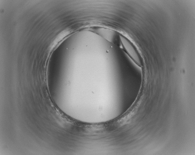 X0000060791145200511241838