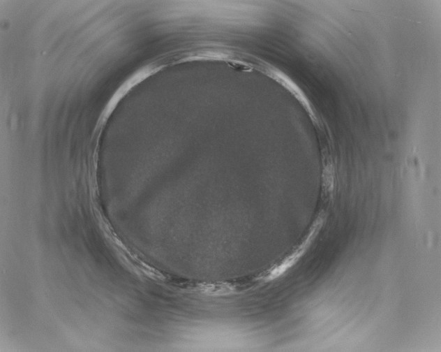 X0000060791146200511241838