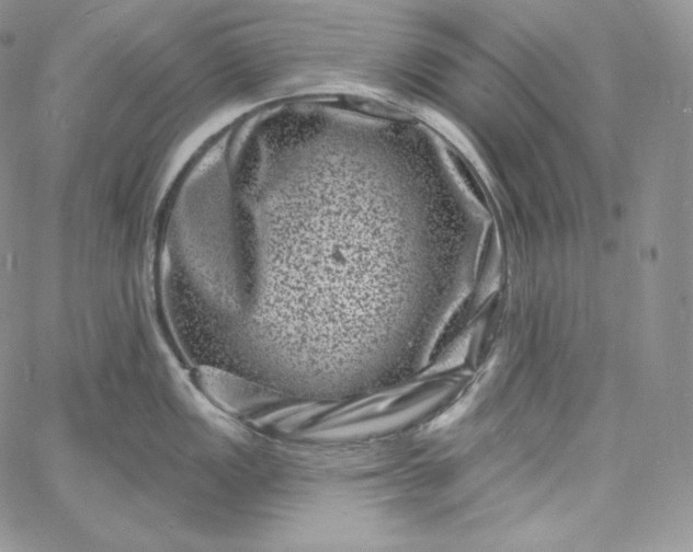 X0000060791149200511241838