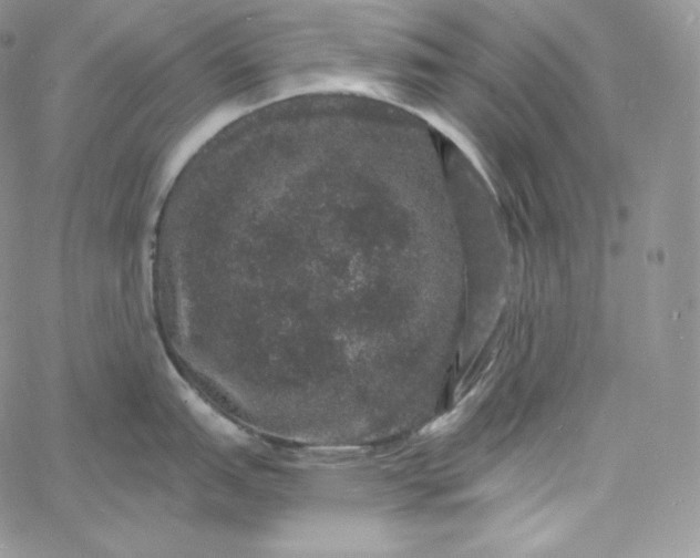 X0000060791151200511241838