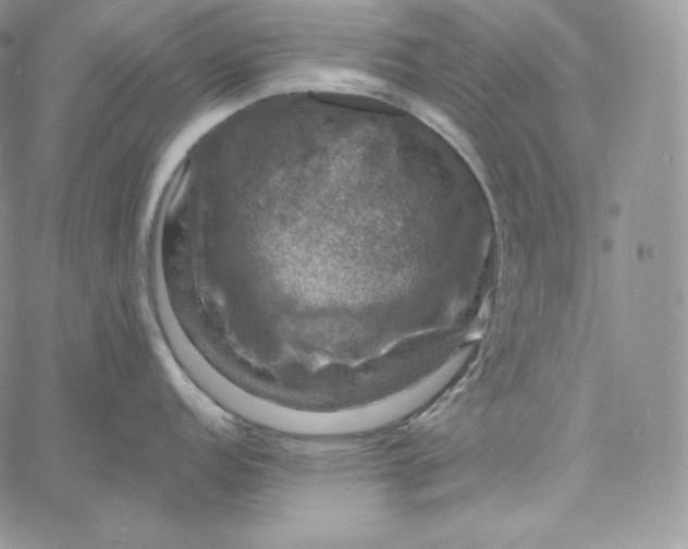 X0000060791152200511241838