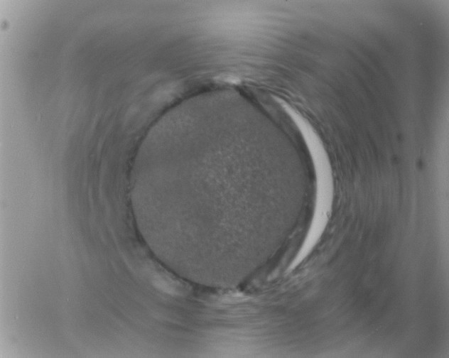 X0000060791153200511241837