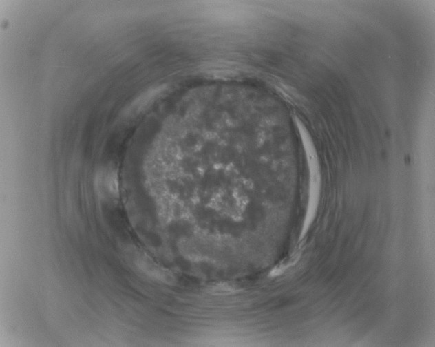 X0000060791155200511241837