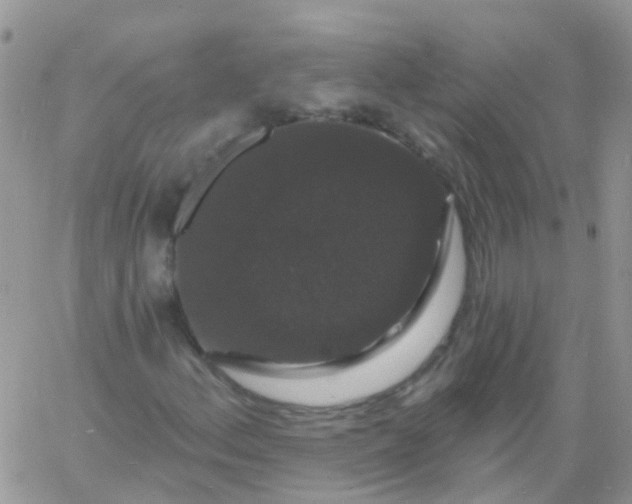 X0000060791156200511241837