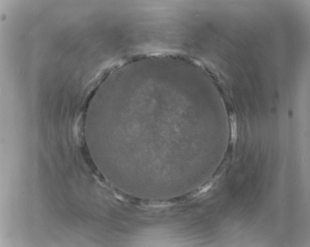 X0000060791157200511241837