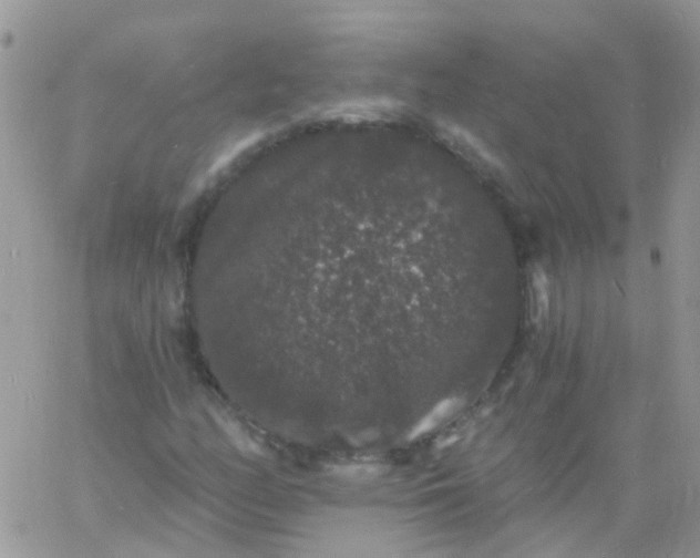 X0000060791158200511241837