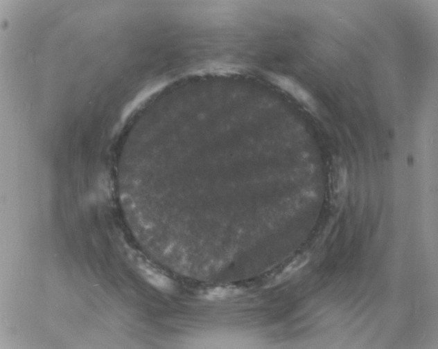 X0000060791160200511241837