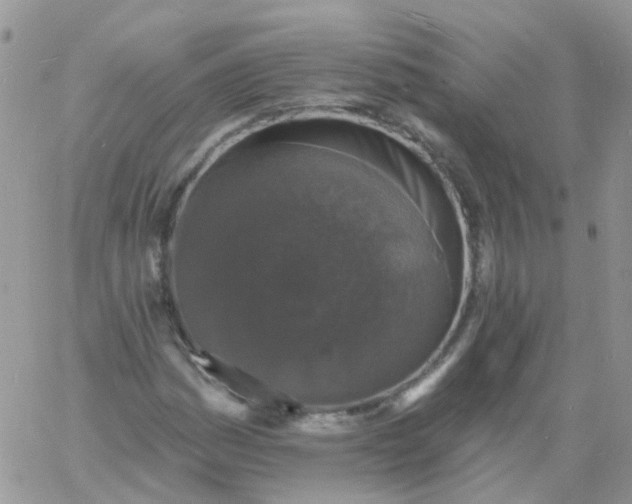 X0000060791161200511241837