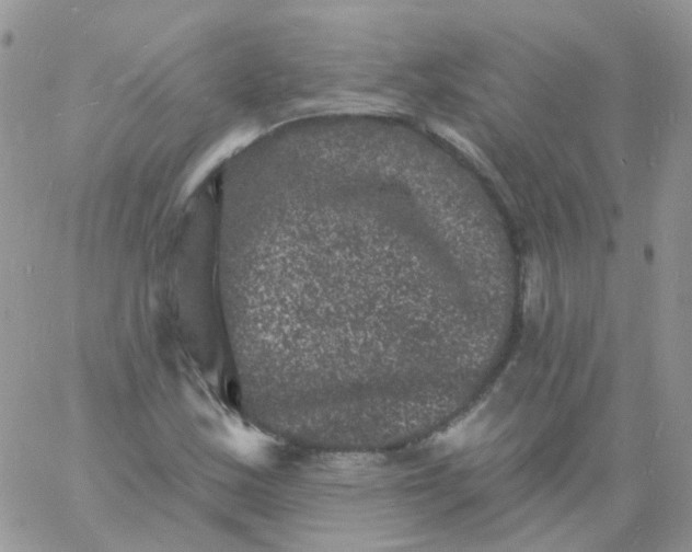 X0000060791163200511241837