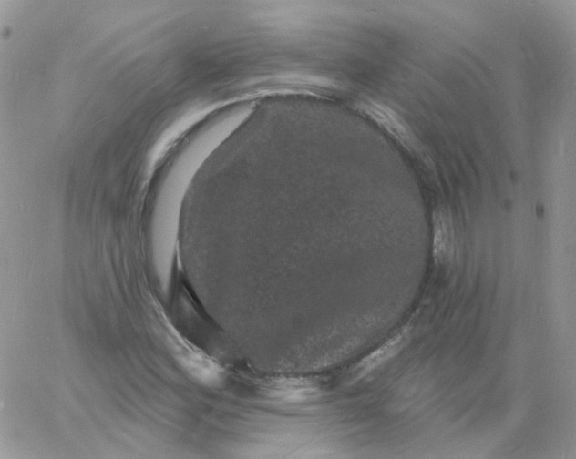 X0000060791164200511241837