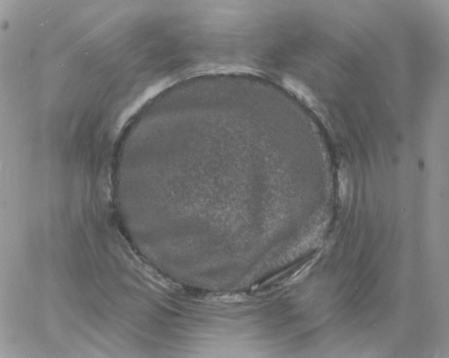 X0000060791165200511241837