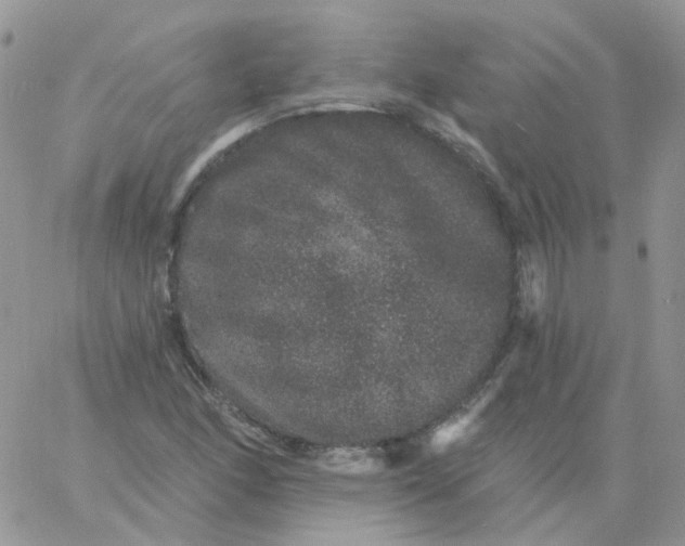 X0000060791166200511241837