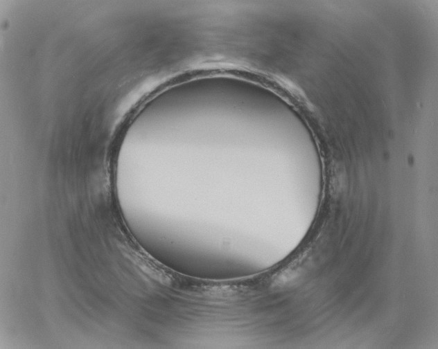 X0000060791167200511241837