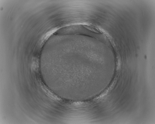 X0000060791169200511241837