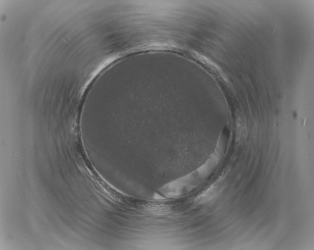 X0000060791170200511241837