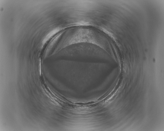 X0000060791171200511241837