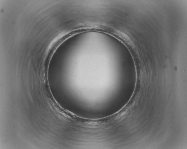 X0000060791172200511241837