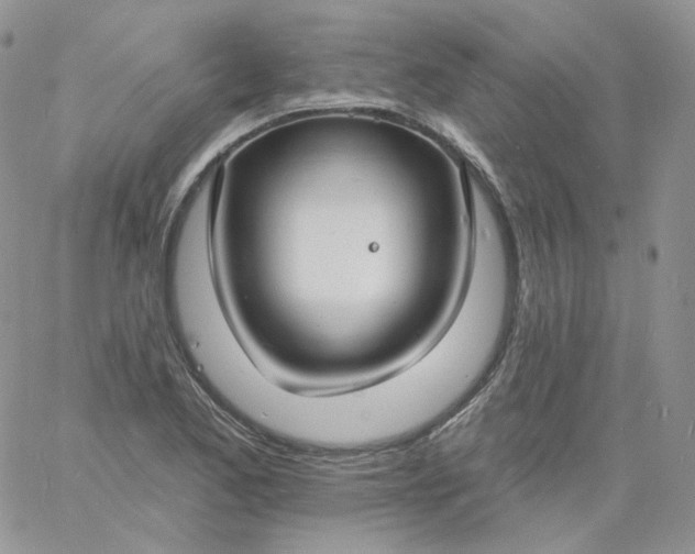 X0000060791173200511241837