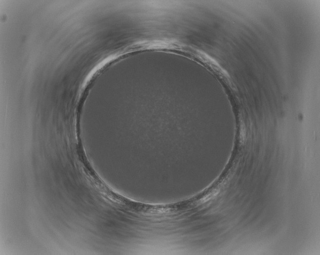 X0000060791174200511241837