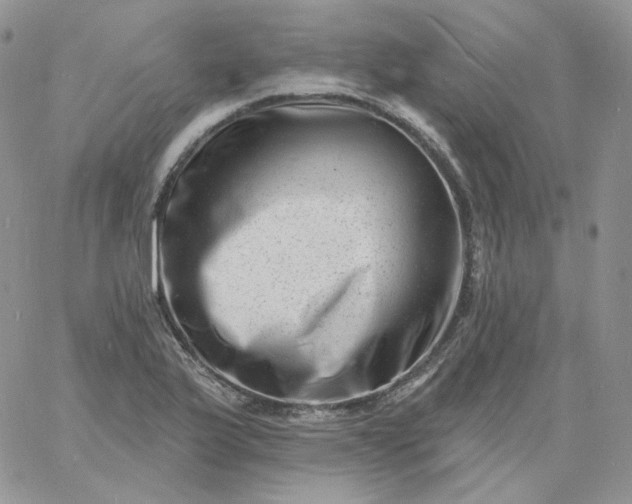 X0000060791175200511241837