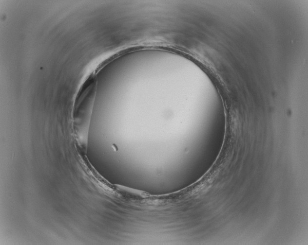 X0000060791176200511241837