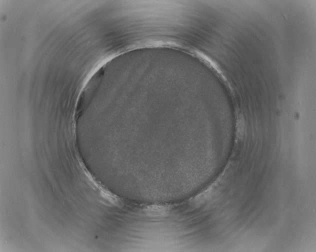 X0000060791178200511241837